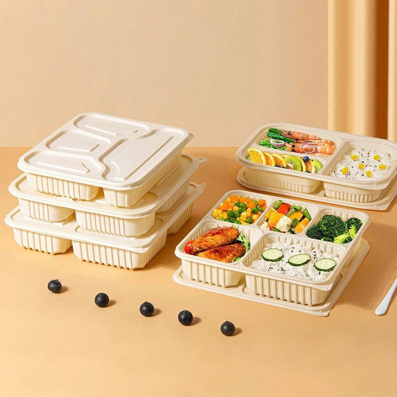 Eco-Friendly Molded Pulp Clamshell Packaging Machine for Small Businesses