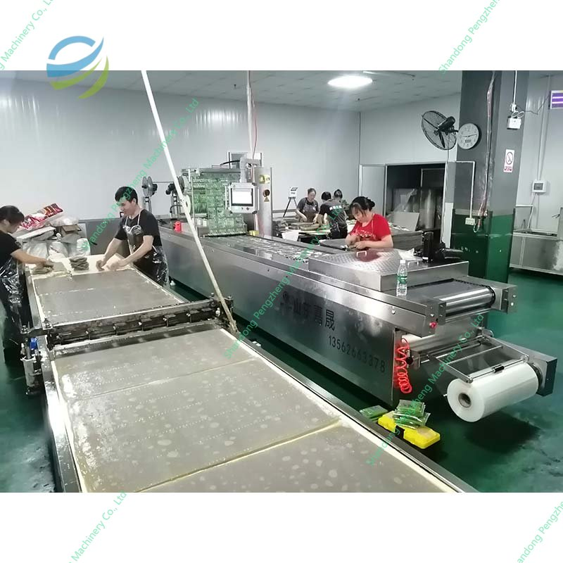 Highly Efficient Fully Automatic Roll-Fed Thermoforming Poultry Beef Meat Fish Vacuum Packaging Machine