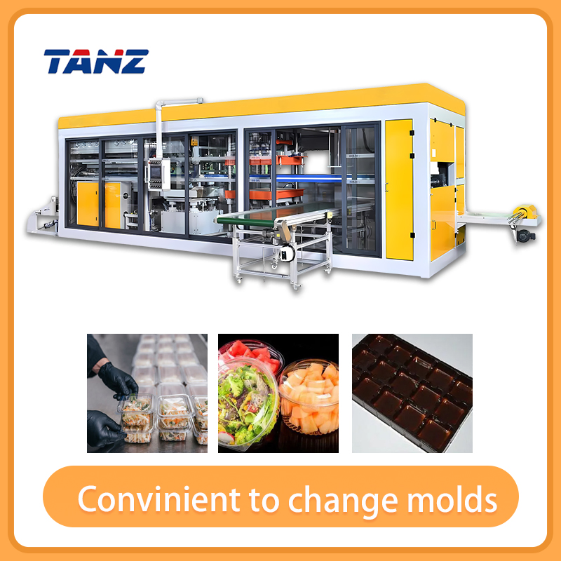 China Factory Automatic Plastic Food Egg Medical Packaging Finished Tool Trays Thermoforming Machine