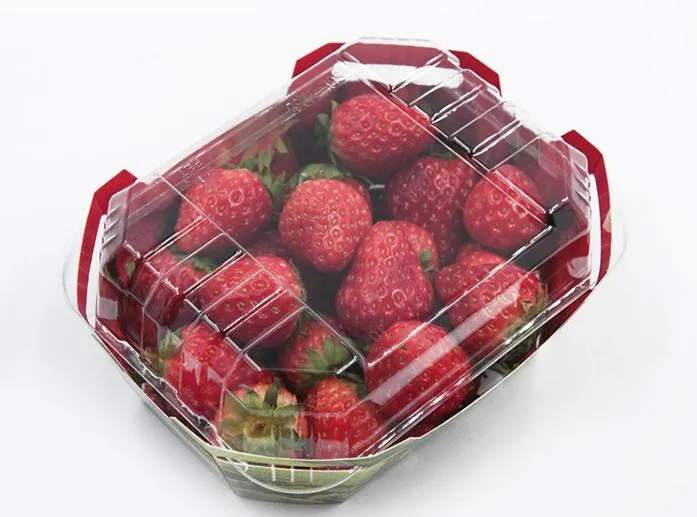 Plastic Tray Samples