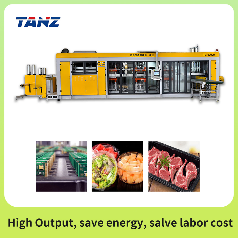 Negative Pressure Forming Cosmetic Trays Plastic Sheet Thermoforming Machine with CE