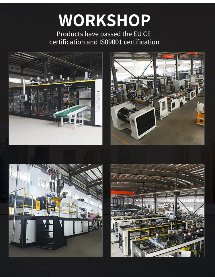 Extrusion Line Detail 12