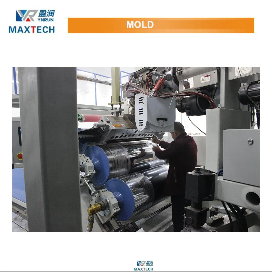 RPET 100% Recycle Flakes for Seedling Trays Pet PP PS Sheet Extrusion Equipment