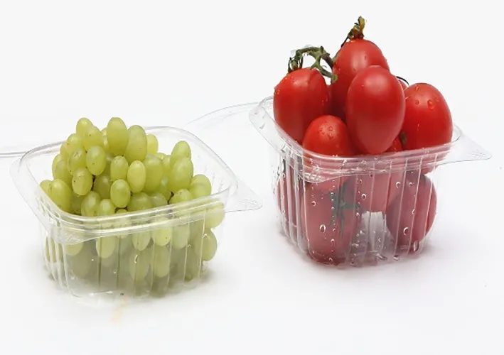Food Container Samples