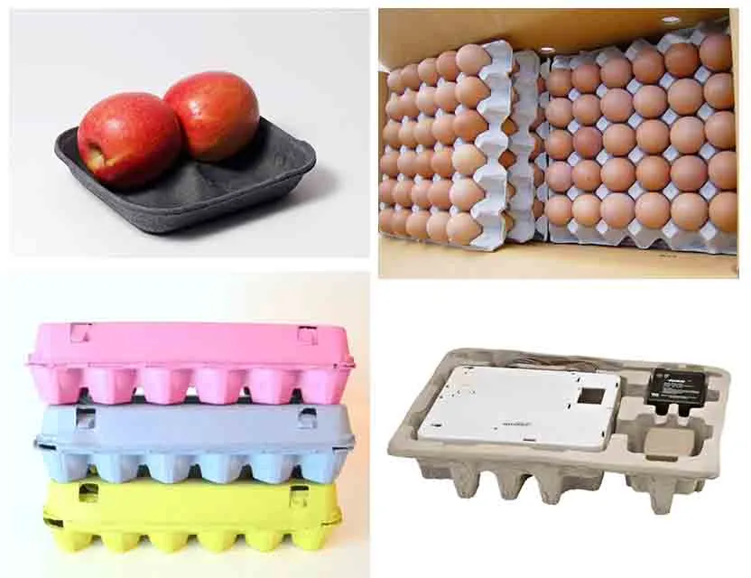 Paper Egg Trays