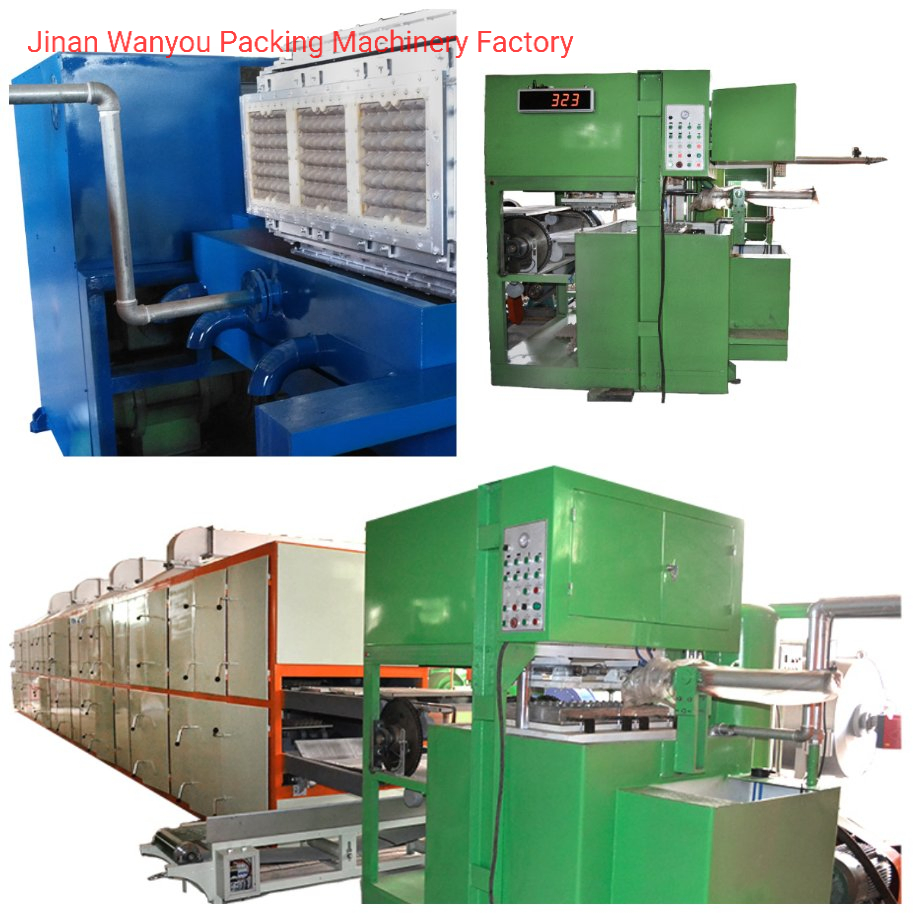 Different Forming Type Paper Egg Tray/Fruit Tray/Industrial Tray/Medical Tray Making Machine with Production Line Egg Carton