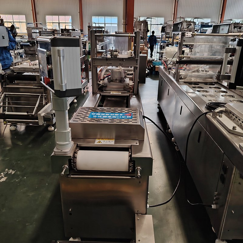 Semi Automatic Dates Thermoforming Vacuum Packing Machine with Date Printer