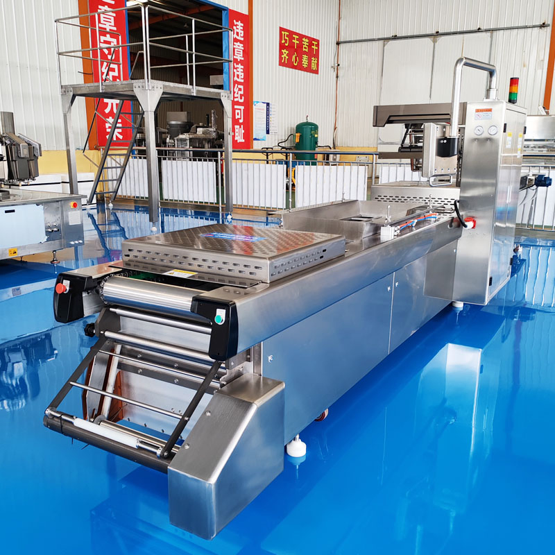 Dzdl-420 Automatic Glove Medical Supplies Soft Plastic Thermoforming Vacuum Packaging Blister Packing Machine