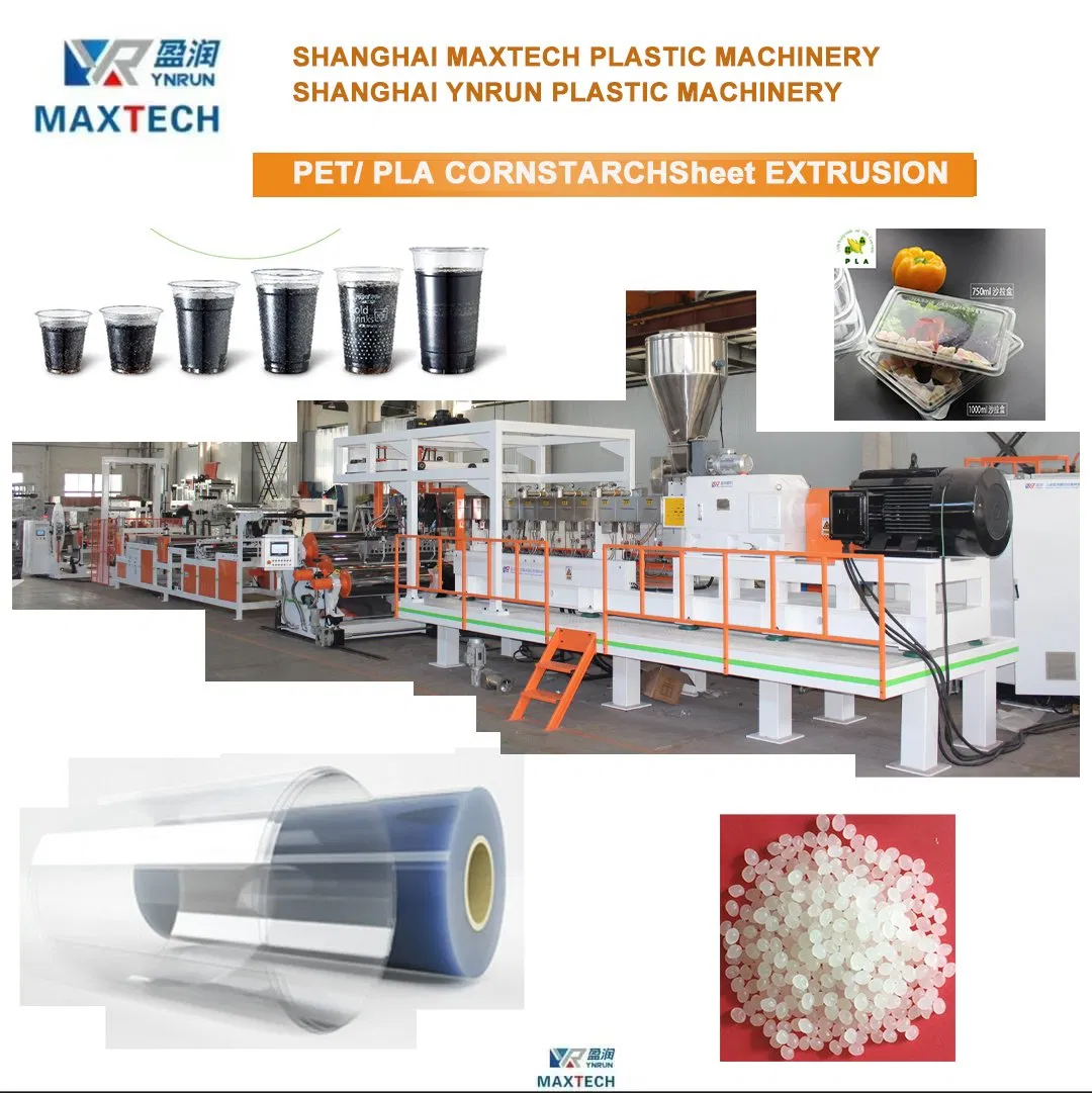 PLA Pet PP PS Plastic Biodegradable Sheet Recycling Production Line for Thermoforming