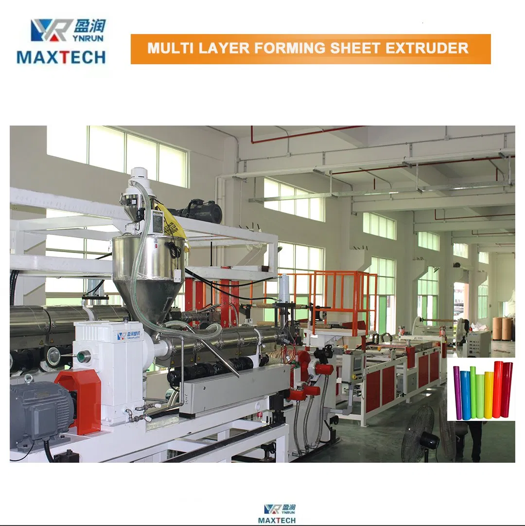 RPET 100% Recycle Flakes for Seedling Trays Pet PP PS Sheet Extrusion