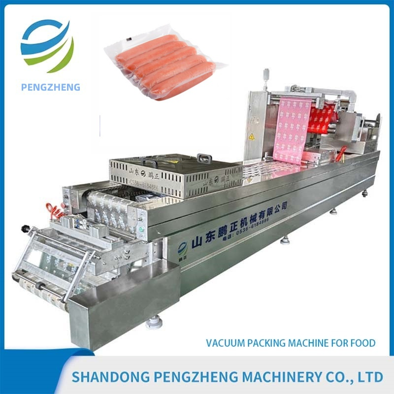 Stainless Steel Automatic Versatile Food Vacuum Packing System
