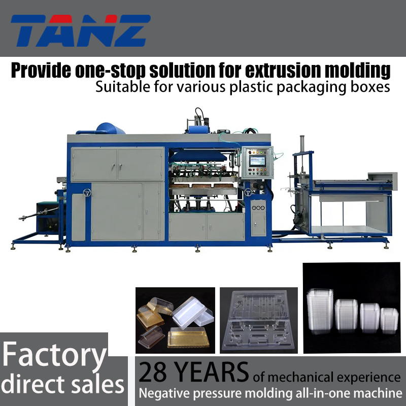 Automated Industrial Blister Packaging System