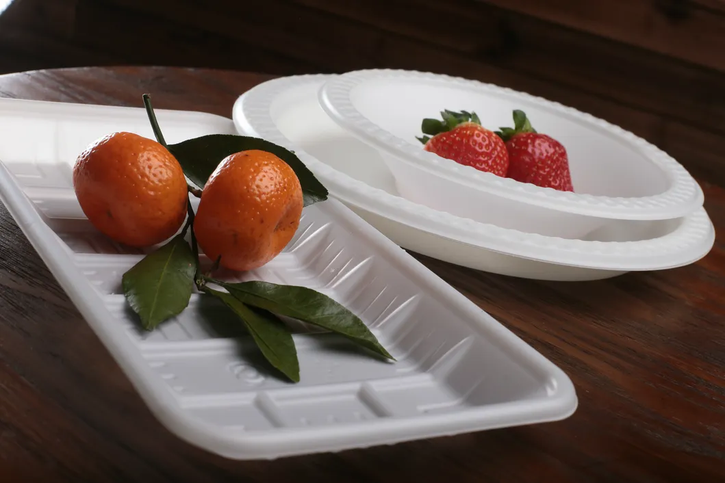 Plastic Thermoforming Machine