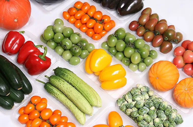 Thermoforming Production Line