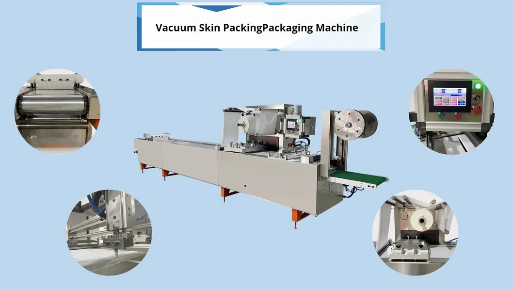 Vacuum Packaging Machine Overview