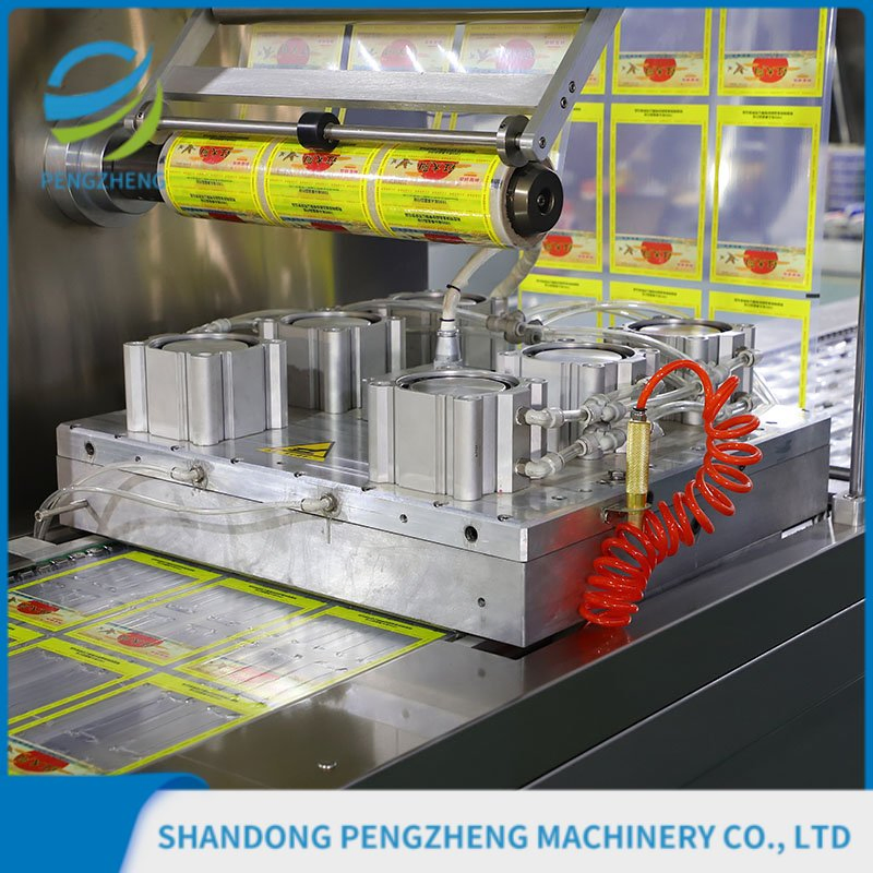 Thermoforming Vacuum Packaging Equipment Packing Solution for Food Industry
