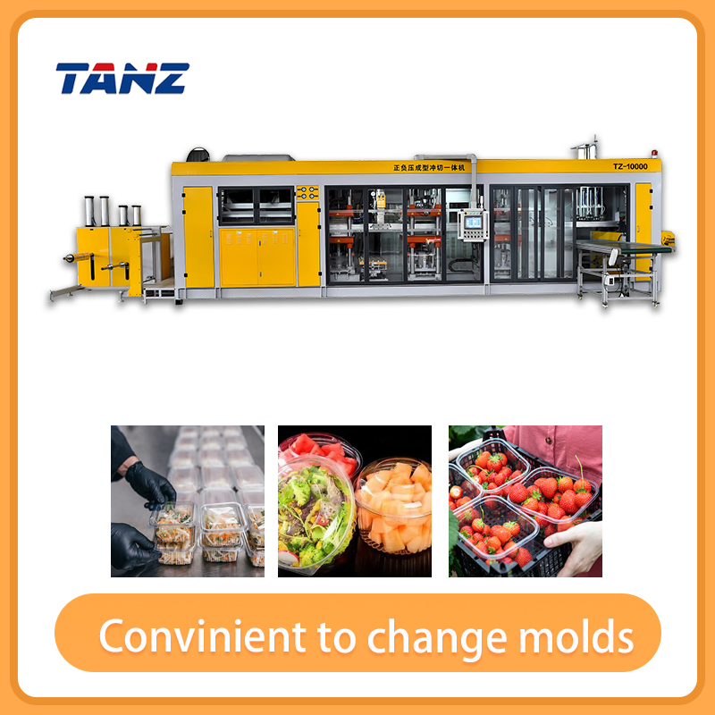 China Factory Automatic Plastic Food Egg Medical Packaging Finished Tool Trays Thermoforming Machine