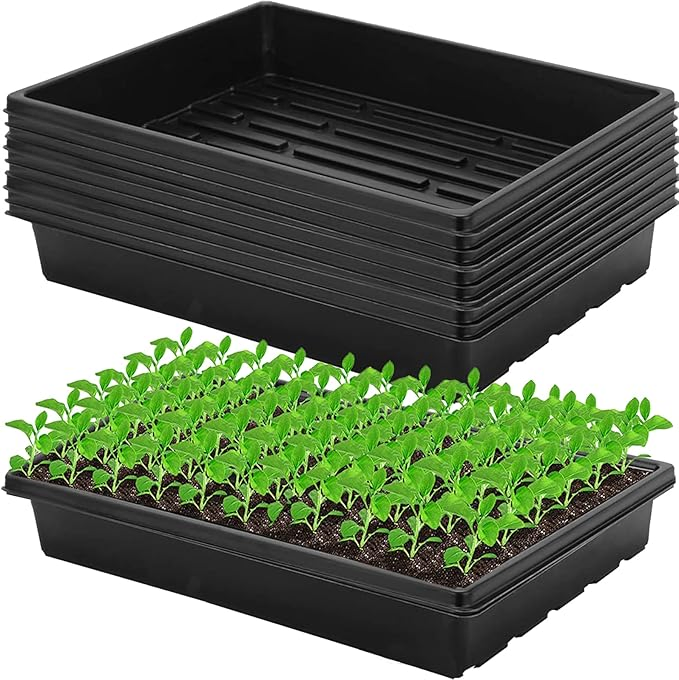 Professional Plastic Nursery Tray Vacuum System for Seedlings