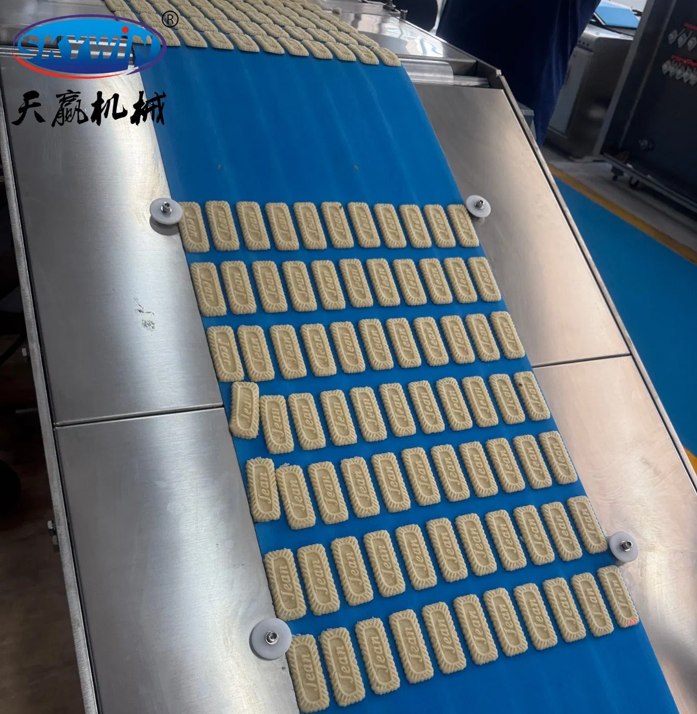 Industrial - Grade Professional Commercial Soft Biscuit Forming Machine Tray Rotary Moulder