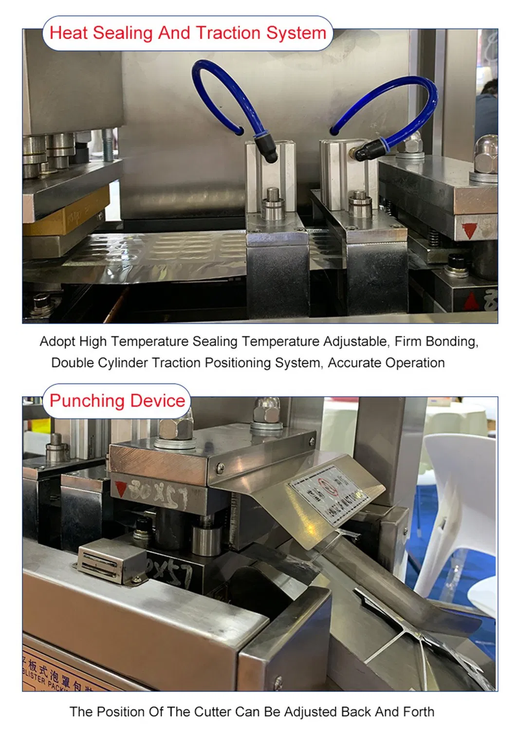 Blister Packing Detail 2