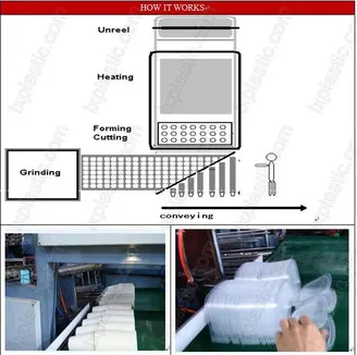 Automatic Plastic Cup Thermoforming Machine