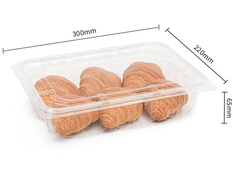 Advanced Fully Automatic Thermoforming Cake Box Production Line