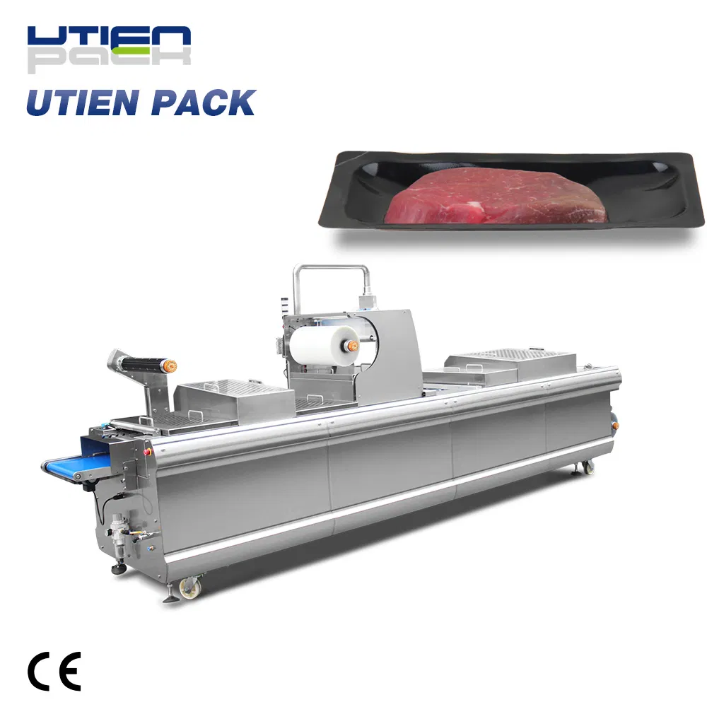 Automatic Thermoforming Vacuum Packing Equipment