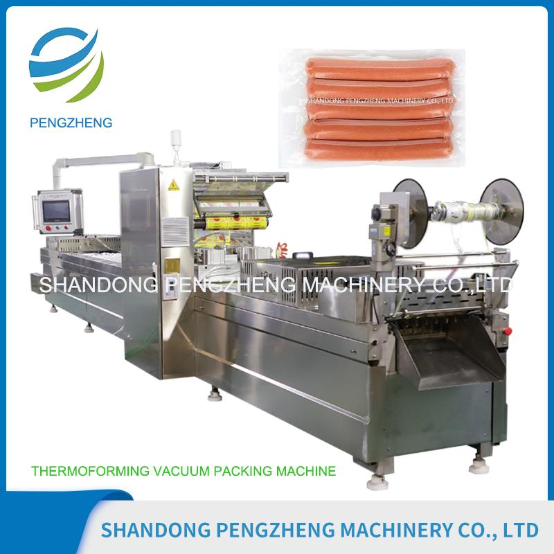 Stainless Steel Automatic Versatile Food Vacuum Packing System