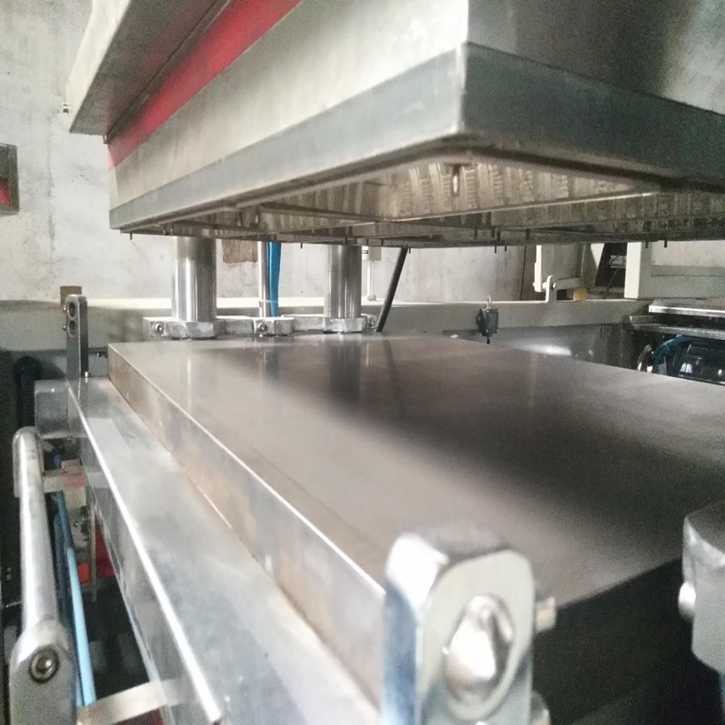 Thin-Gauge Roll-Fed Cake Tray Plastic Automatic Thermoforming Machine