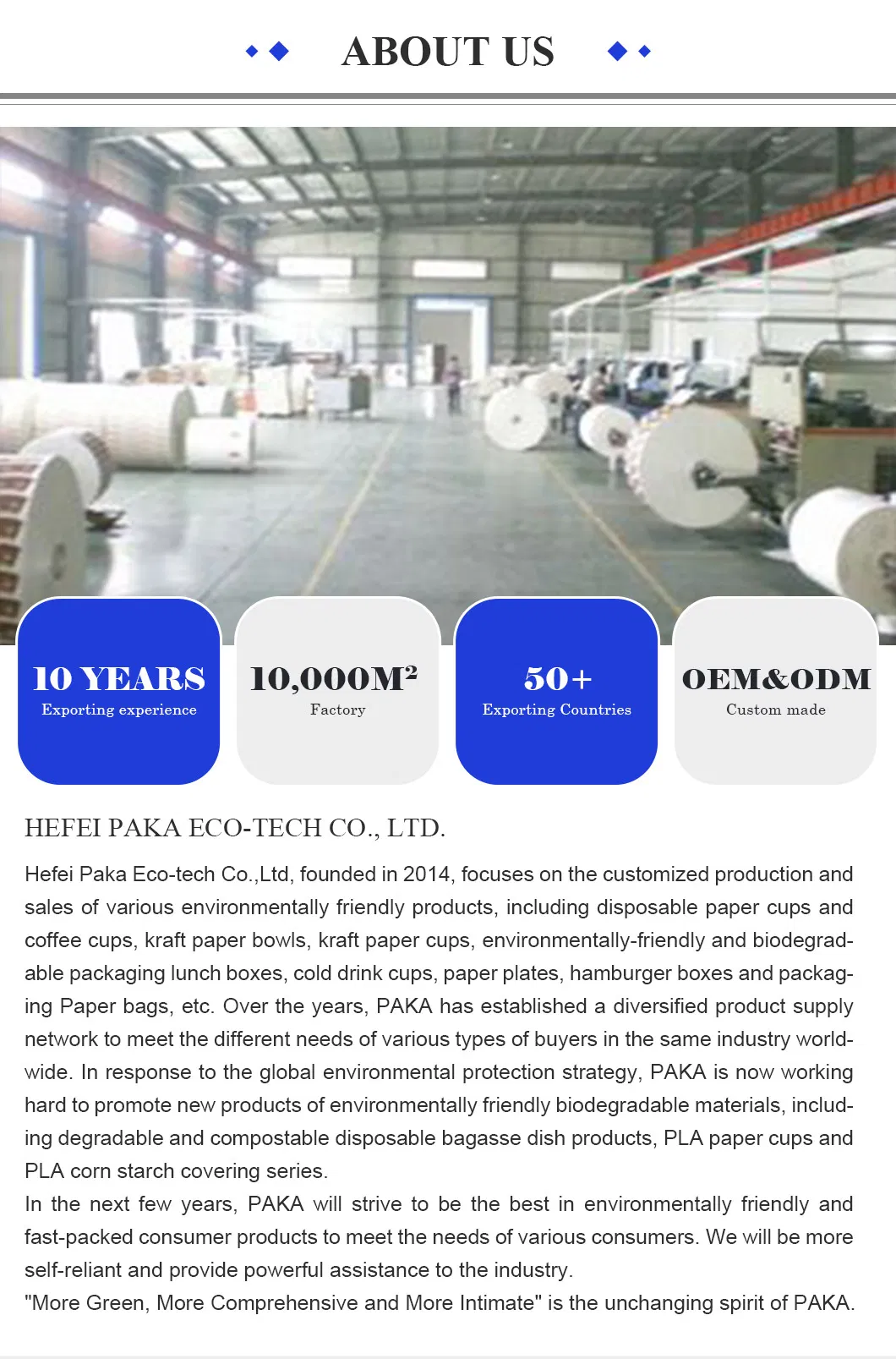 Company Profile Overview