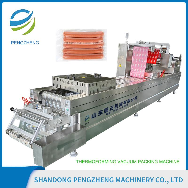 Large Film Thermoforming Packaging Equipment