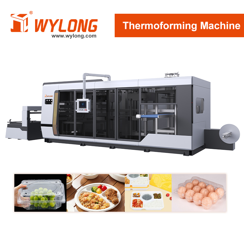 Servo-Driven Multi-Station Plastic Thermoforming Machine/Clear RPET Clamshell Packaging for Raspberries or Blackberries Packing