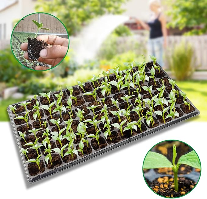 Professional Plastic Nursery Tray Vacuum System for Seedlings