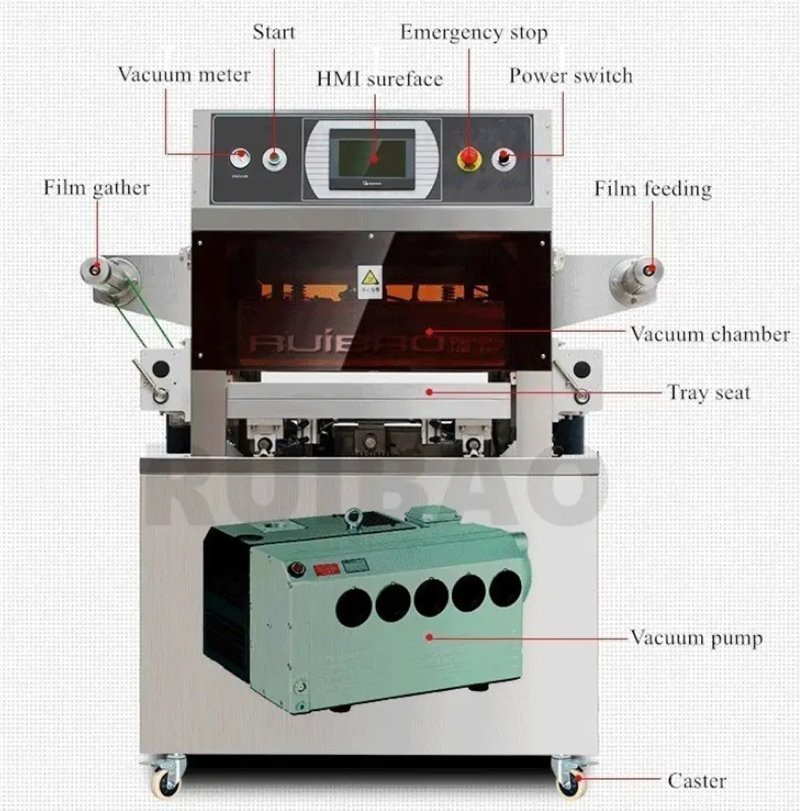 Vacuum Packing Machine Single Chamber Food Packaging Machine for Sale Cheap Price