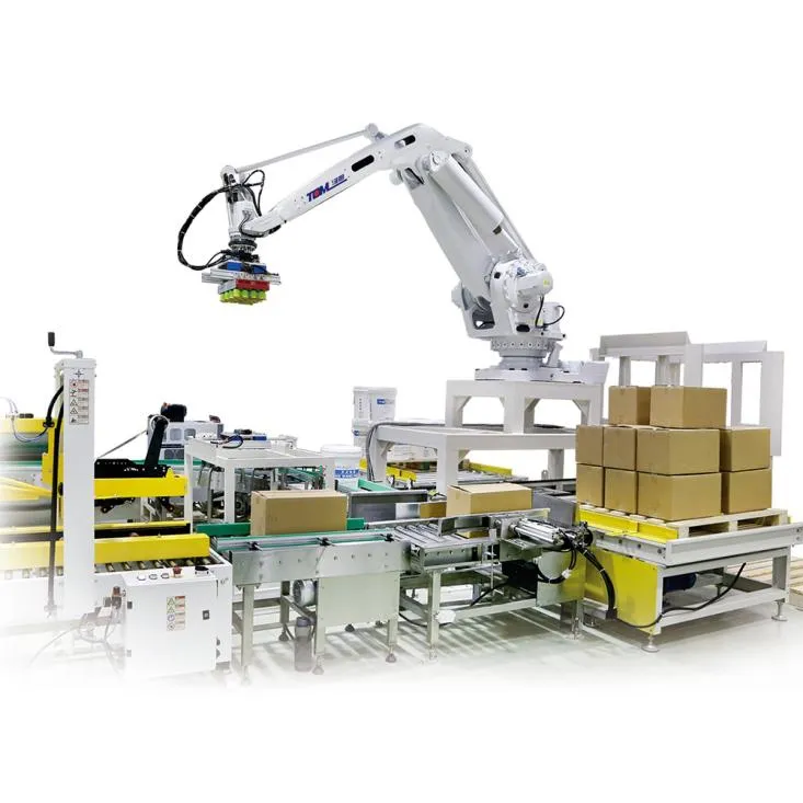 Robot Palletizer