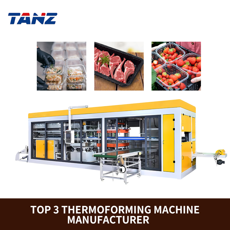 Advanced Thermoforming Making Machine for Clamshell Packaging Solutions