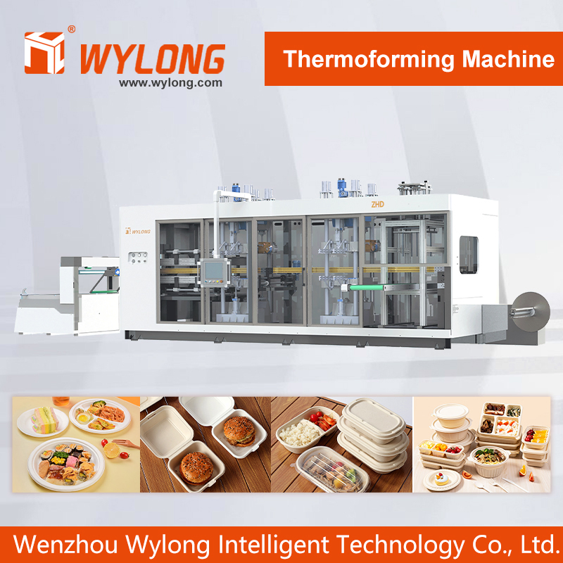 Food-Grade Multi-Station Container Thermoformer Plastic Fast Meal Disposable PP Clamshell Takeout Hinged to Go Food Packaging Containers Making Machine