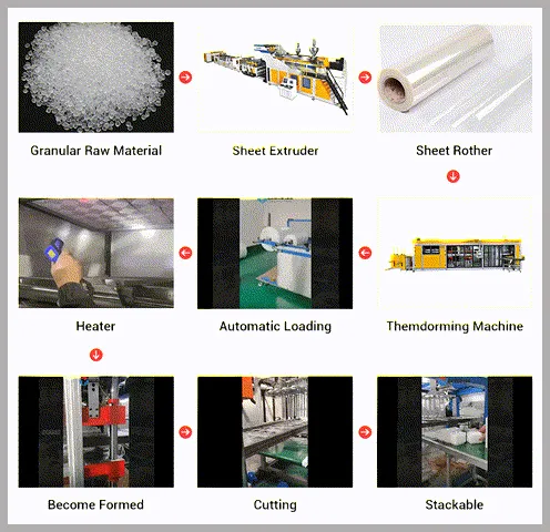 Packaging Box Production