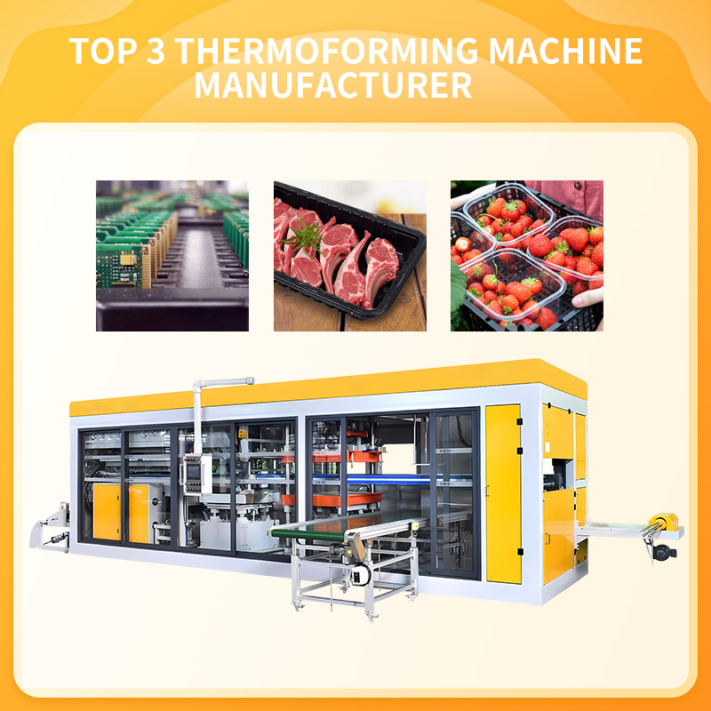 Advanced Thermoforming Making Machine for Clamshell Packaging Solutions