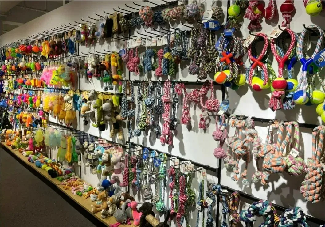 Escova de Silicone