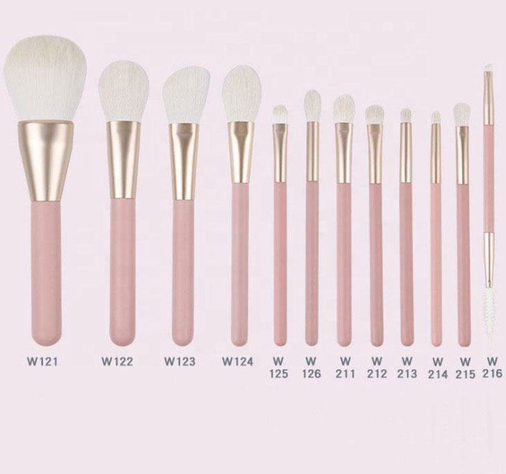 12 PCS Pink Portable Super Soft ODM OEM Customized Makeup Brush Set T