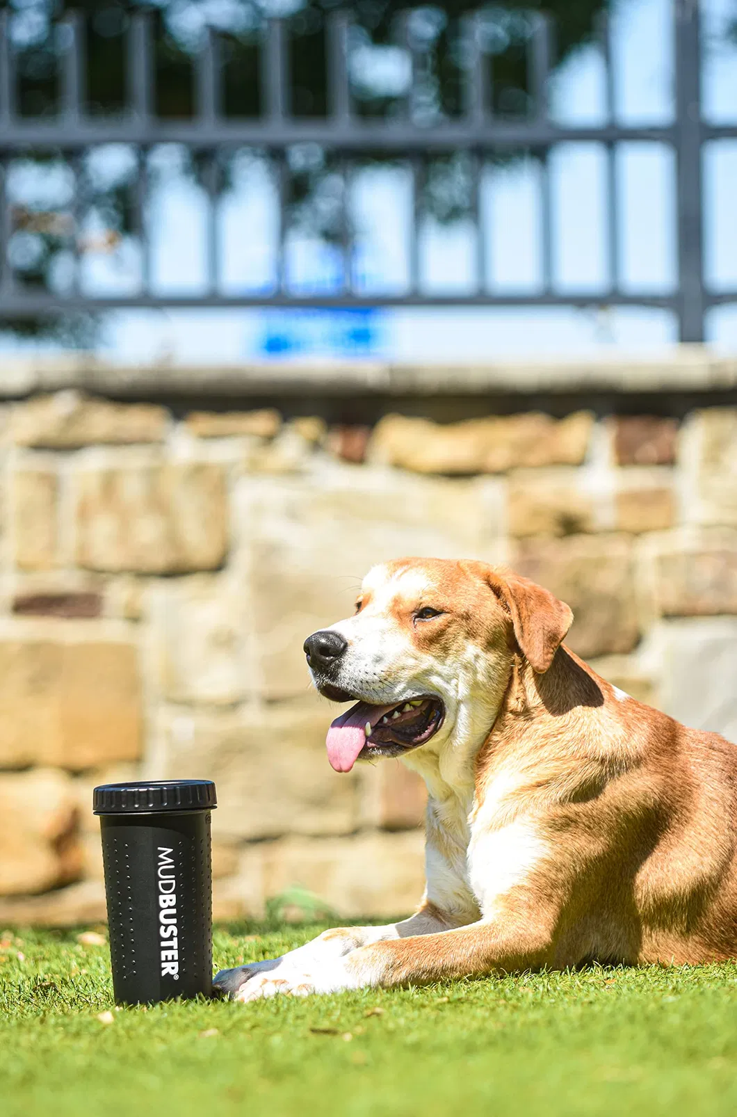 Limpeza de Patas de Cão de Alta Qualidade Suprimentos para Animais de Estimação e Acessórios para Cães