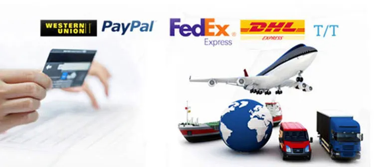 Shipping Logistics