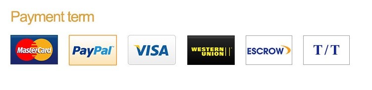 Accepted Payment options icons