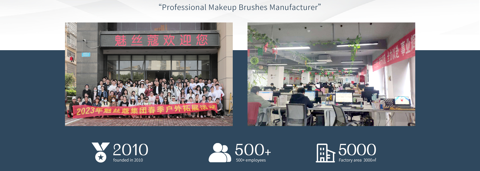 Cosmetic Brush Color Options