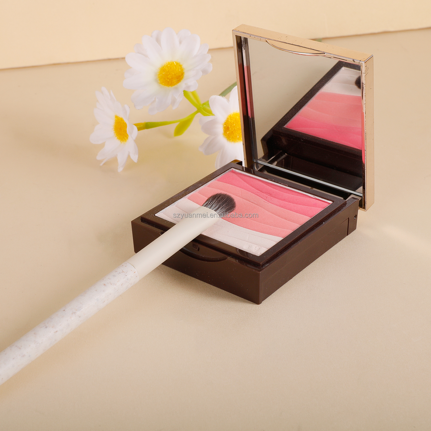 Makeup Brush Detail 2