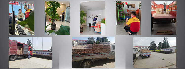 Delivery Carton Image
