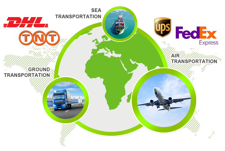 Logistics and shipping service