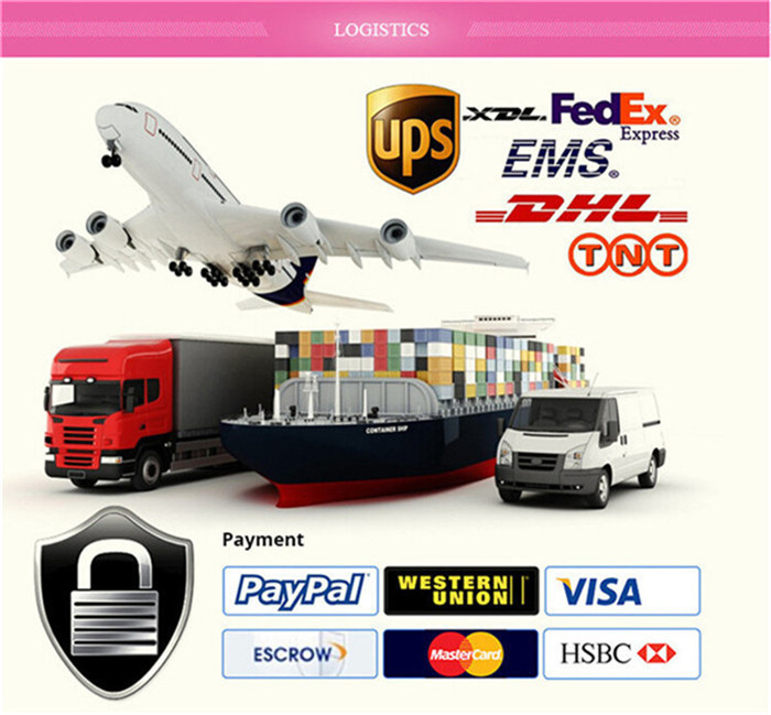 Shipping and Payment