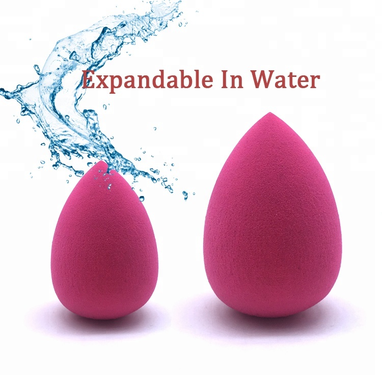 Factory Direct Sale in Stock Low MOQ Vegan Face Beauty Makeup Sponge Blending Set for Facial Make up Sponge